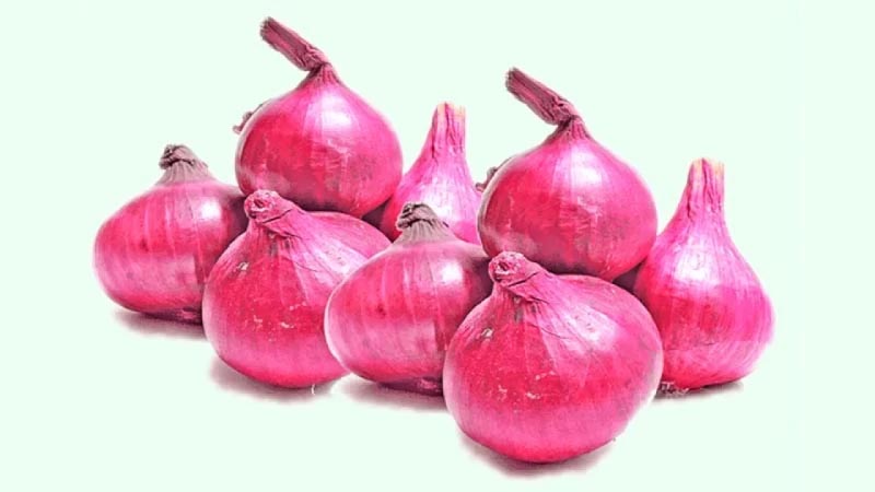 পেয়াজ (এল.সি) | LC Onion