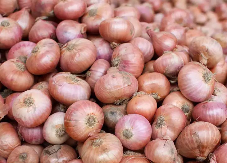 দেশি পেয়াজ | Deshi Onion, Payaz