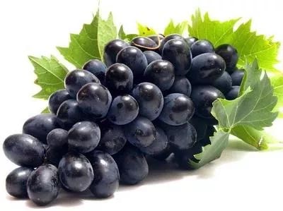 কালো আঙ্গুর ফল | Black Grapes | kalo angur